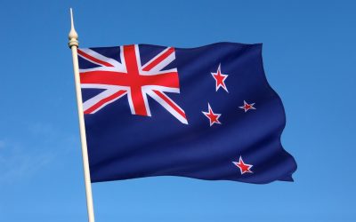 The Current State of the Job Market in New Zealand: End of Q2 2024